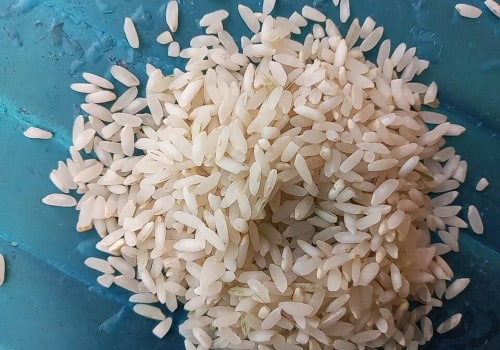 قیمت خرید برنج لنجان شمال + فروش ویژه